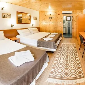 Guest house Pensiunea Casa, Bucharest